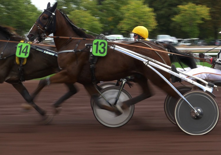 BOIORIX, DE L’ESPOIR À LA VICTOIRE