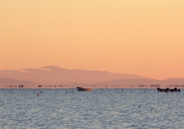 CAMARGUE, LA POÉTIQUE DE L’ÉTANG