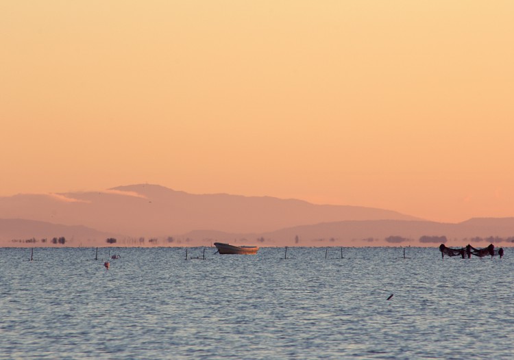 CAMARGUE, LA POÉTIQUE DE L’ÉTANG