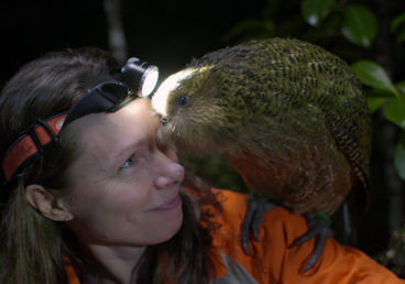 ORIGINE NATIVE, DEIDRE ET L’OISEAU KAKAPO