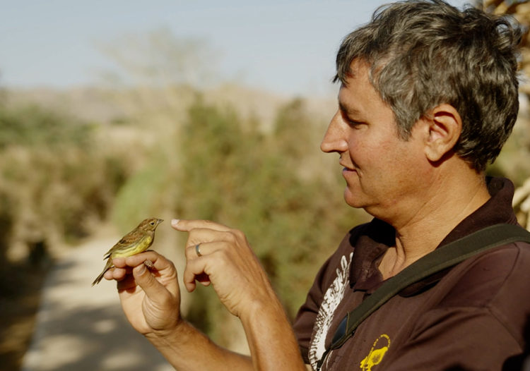 Le combat pour les oiseaux, dans le ciel d’Israël